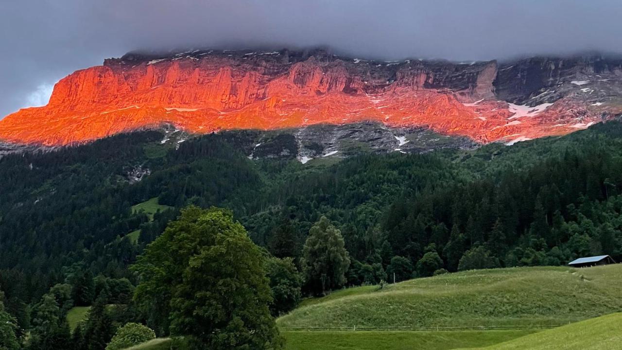 Romantisches Plätzchen in der Natur Grindelwald Exterior foto