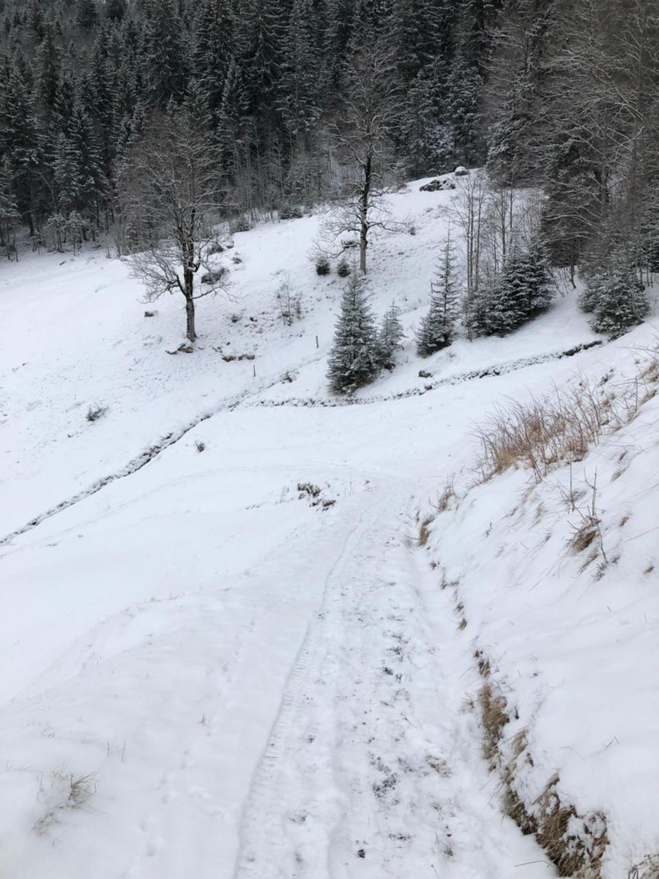 Romantisches Plätzchen in der Natur Grindelwald Exterior foto